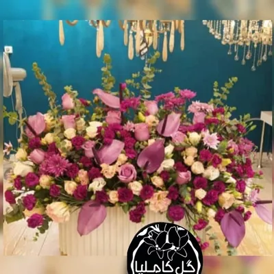 تالار گل کاملیا