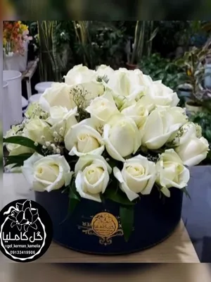 تالار گل کاملیا