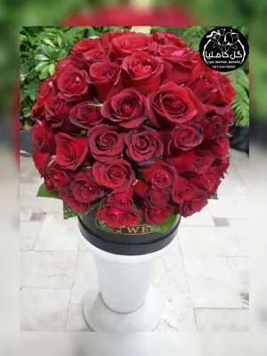 سفارش گل در کرمان 