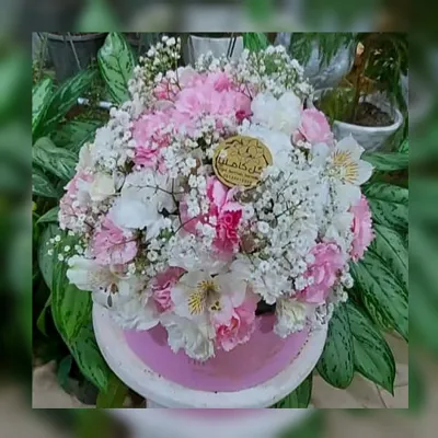 تالار گل کاملیا