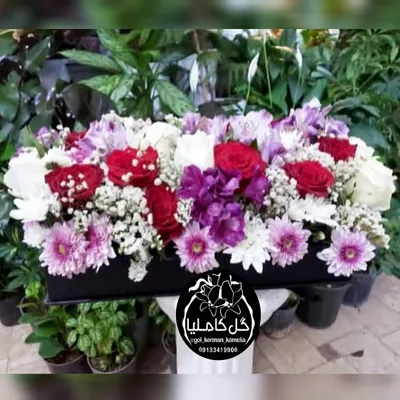 سفارش گل در کرمان 