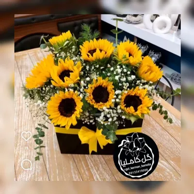 سفارش گل در کرمان 