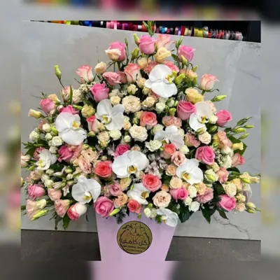 تالار گل کاملیا