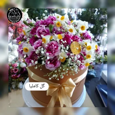 تالار گل کاملیا