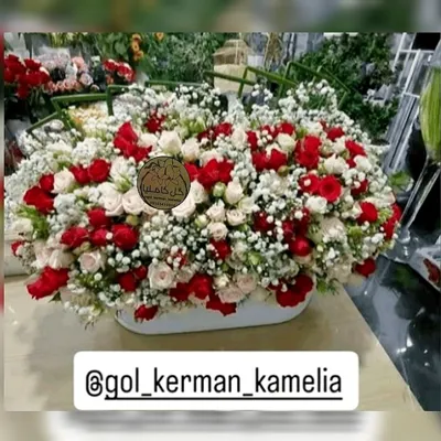 سفارش گل در کرمان