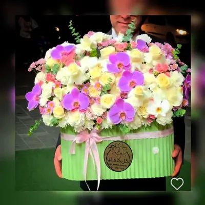 تالار گل کاملیا