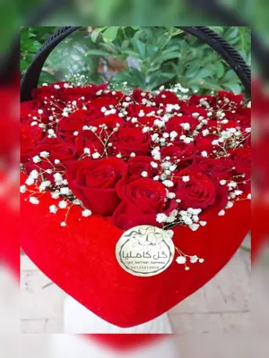 تالار گل کاملیا