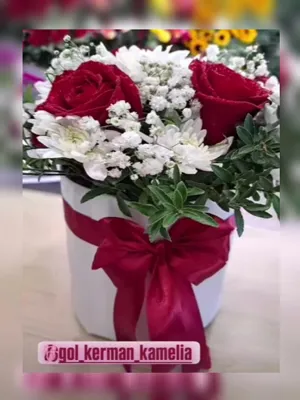 سفارش گل در کرمان 