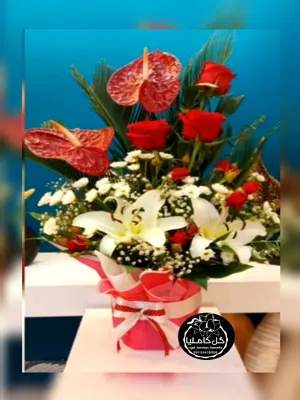 تالار گل کاملیا