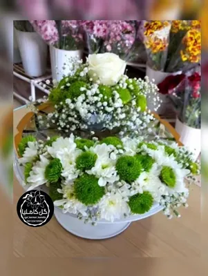 سفارش گل در کرمان 