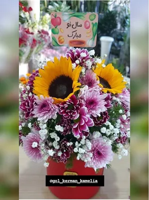 سفارش گل در کرمان 