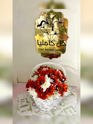 سفارش گل در کرمان 