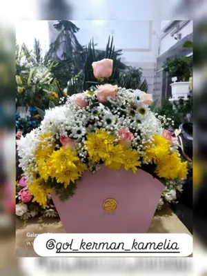 تالار گل کاملیا