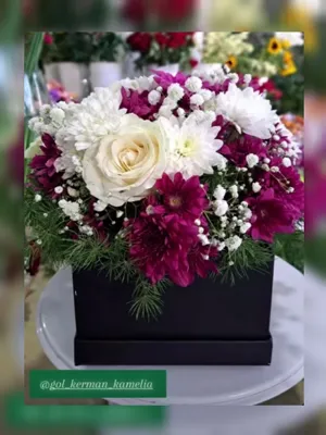 سفارش گل در کرمان 