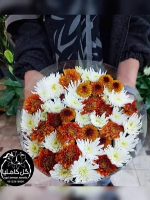 سفارش گل در کرمان 