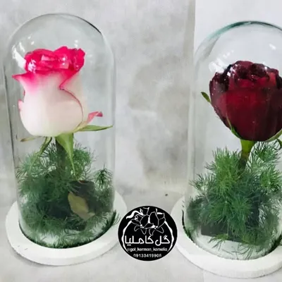 سفارش گل در کرمان 