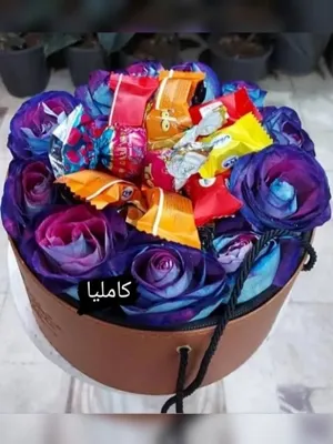 تالار گل کاملیا