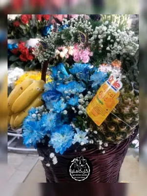 تالار گل کاملیا