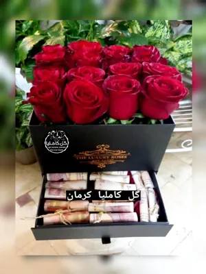 تالار گل کاملیا