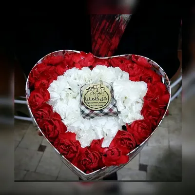 تالار گل کاملیا