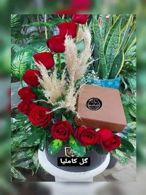 تالار گل کاملیا