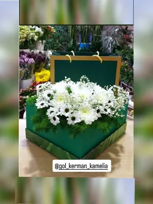 سفارش گل در کرمان 