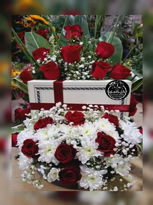 تالار گل کاملیا