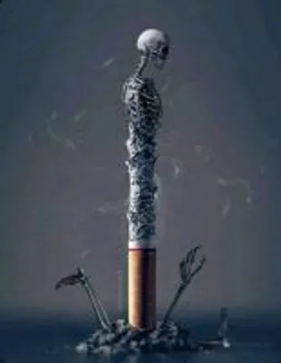 بهترین کمپ اعتیاد در کرج