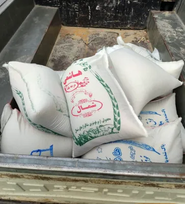 عمده بار سادات