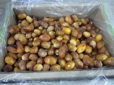 عمده بار سادات