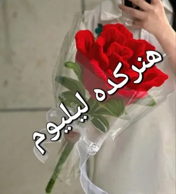 مدرس گلسازی در خوزستان 