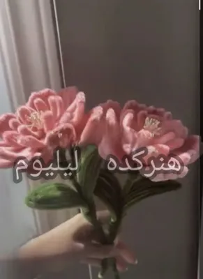 آموزش گلسازی در خوزستان 