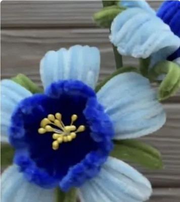 آموزش گلسازی با پبپ پاک کن در خوزستان