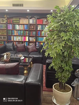 بهترین وکیل کلاهبرداری