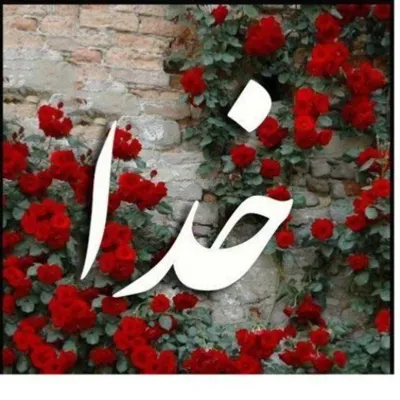 سیده زینب بابائی چگینی