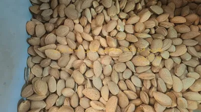 بادام سنگی هایپر جوکار