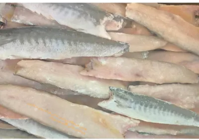 فیله ماهی یخ زده در فروشگاه جوکار