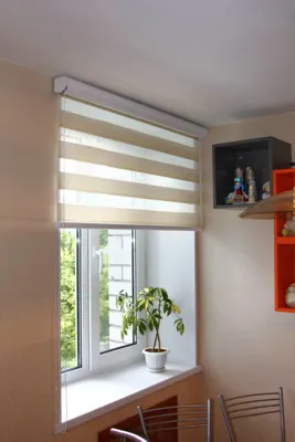 پرده زبرا پذیرایی