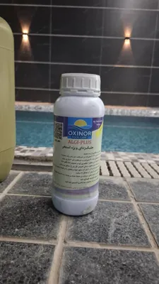 جلبک زدای آب استخر در کرج