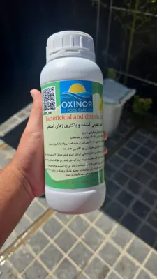 ضد باکتری آب استخر خانگی در کرج