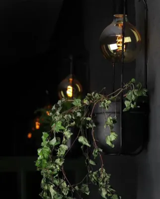 راه اندازی کافه تهران