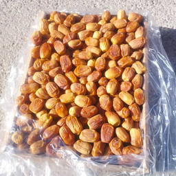 Zahedi Dates