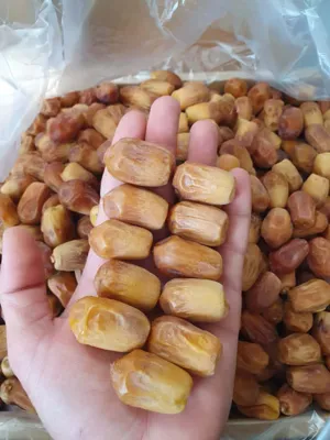Import of Iranian dates