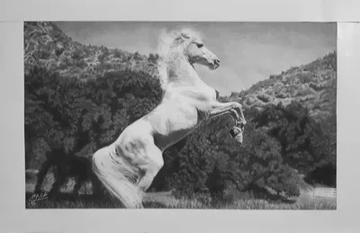 آموزشگاه نقاشی رودسر