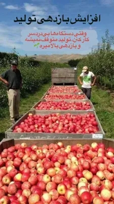 آب مغناطیسی بهنور