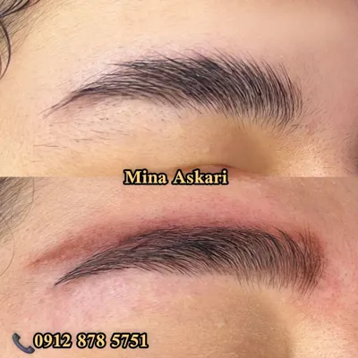 ریمو تاتو در یک جلسه