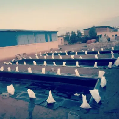 مقاوم در برابر آب و هوا