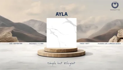 بازرگانی کاشی و سرامیک خاکزار پخش