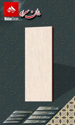 بازرگانی کاشی و سرامیک خاکزار پخش