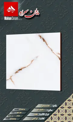 بازرگانی کاشی و سرامیک خاکزار پخش